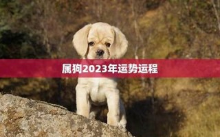 属狗2023年的运势(属狗2023年的运势及运程每月)