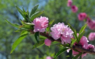 2016年2月23日(2016年2月23日是什么星座)