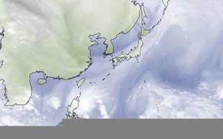 10月11日(10月11日是星期几)