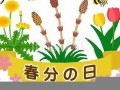 3月20(3月20日是白羊还是双鱼)