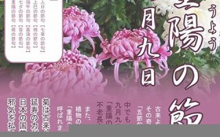 9月9(9月9日忆山东兄弟王维古诗)