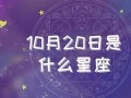 1月20日是什么星座(1月20日是什么星座是水瓶还是摩羯)