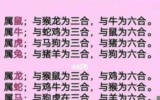 12属相最佳婚配表(12属相最佳婚配表一九九八年)