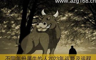 牛年运程(牛年运程2024年运势)