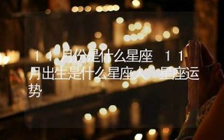 11月份是什么星座(11月份是什么星座天蝎座和射手座)