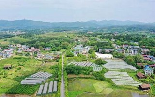 2021年9月4日黄历(9月4日 黄历)