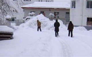 梦见大雪(梦见大雪纷飞是什么征兆 女性)