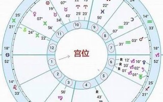 星盘 查询(星盘查询全面)