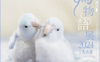 4月27(4月27是什么星座的座)