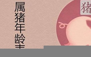 属猪的今年多少岁(属猪的今年多少岁数)