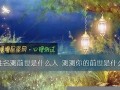 测试前世是什么(测试前世是什么意思啊)