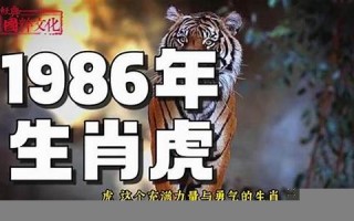 1986年属什么(1986年属什么的生肖)