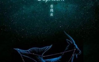 星座摩羯打一数字(星座是摩羯座的人性格是什么呢)