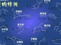 星座测试网(星座测试免费)